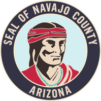 /procure_logos/navajo_county.png